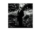 L'IMPRUDENCE - BASHUNG ALAIN (33 TOURS) - 2 disques