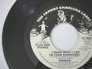 GENESIS - I KNOW WHAT I LIKE - CHARISMA U.S WLP PROMO