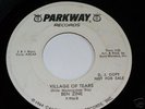 BEN ZINE(VILLAGE OF TEARS) PARKWAY # 996  DJ
