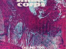THE SNAKE CORPS -CALLING YOU / THIS IS SEAGULL *LISTEN*