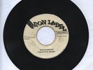 IRON/A BEAUTIFUL DREAM - HORACE MARTIN  [REGGAE]  7