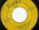 NORTHERN SOUL Lorraine Chandler - What can I Do LISTEN