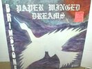 BRIMSTONE  Paper Winged Dreams  LP  psych   original