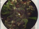 CORRUPTED PHOBIA SPLIT EP PIC DISC RARE sludge grind hc