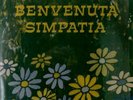 VA-Benvenuta simpatia BEAT ITALIANO ELVIO MONTI Lounge