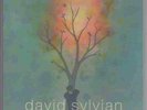 DAVID SYLVIAN - TROPHIES 3 fire in the forest 2003 TOUR