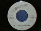 THE COBRAS rare US GARAGE / PUNK / G45 