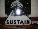 SUSTAIN/Original dutch Prog/Psych LP/Private press