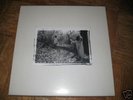 Sunn O))) White Box #175 Sealed