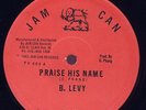 Barrington Levy Praise His Name RARE US 12