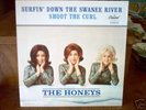 The Honeys Picture Sleeve & Record-Beach Boys Related