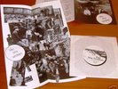 SEA URCHINS--PRISTINE CHRISTINE-V.RARE ORIG 7