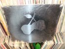 SILVER APPLES S/T KAPP LP MINT IN SHRINK + POSTER PSYCH