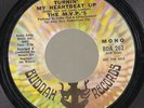 Northern Soul 45 M.V.P.S Turnin’ My Heartbeat Up BUDDAH