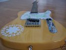 RED HOT CHILI PEPPERS SIGNED ELECTRIC GUITAR CUSTOMISED