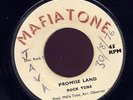 Rock Tone 'Promise Land' RARE UK 45 Mafia Tone Listen