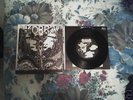 Kobra corri nel sangue....7 kbd wretched indigesti punk