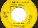 HEADLINES Northern Soul 45 He's Looking For a Love RARE