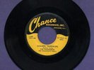 The Flamingos Golden Teardrops Chance 45 Record SCARCE