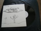 Permanent LP Test Press RVA Down To Nothing Have Heart