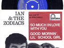 IAN & THE ZODIACS - DUTCH ONLY 66 MOD FREAKBEAT 45 HEAR