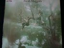 Fresh Maggots LP (Original) Psych / Folk/ Outsider.