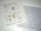 RRR 500: Locked Groove Vinyl LP (Sonic Youth/Deerhoof)