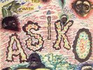 ASIKO - TAKE A TRIP LP -  KILLER AFRO FUNK