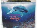 THE BEACH BOYS/ SUMMER IN PARADISE (Korea Rare Lp)