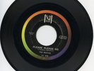 Beatles - Please Please Me/Ask Me Why on Vee Jay 498