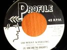 1959 Doo-Wop 45 - LIL' JUNE & THE JANUARY'S - Profile