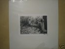 SUNNO))) white box 4 LP SUNN SUNN0))) WHITEbox extras
