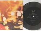 BEATLES FAN CLUB 1969 FLEXI DISC RECORD EX