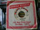 ORIG 45 PAUL REVERE RAIDERS SHAKE IT W/SLEEVE GARDENA
