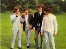 The Kinks       3xUltra  Rare Sweden Cover