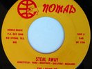LIVING US rare soul garage Texas rock 45 Nomad