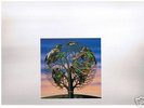 TALK TALK LAUGHING STOCK LP-RARE FIND-NEAR MINT