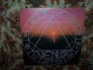 VENUS ''Same'' LP 1986 Private Metal Brazil Effekt Rec.