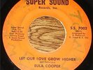 EULA COOPER 45 on SUPER SOUND---Northern Soul---RARE