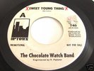 THE CHOCOLATE WATCH BAND   