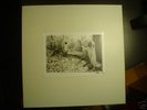 Sunn O))) White Box ltd 500 Sealed and Unplayed