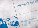 SHELLAC futurist LP friends SEALED big black RARE