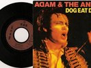 Adam & the Ants 7