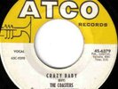 Coasters CRAZY BABY 7