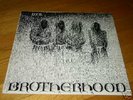 DYS Brotherhood RARE 1983 Boston Punk LP SXE KBD