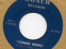 Rare 60's Garage Psych Burlington Express Roach LISTEN