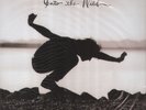 EDDIE VEDDER Into The Wild O.S.T SEALED MINT LP + 7