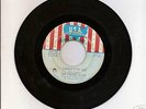 The CHERRY SLUSH I Cannot Stop You 60s GARAGE PSYCH 45