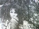 Idlewild 