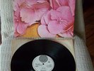 STILL LIFE - ORIG UK  VERTIGO SWIRL 1ST PRESS -   EX EX
